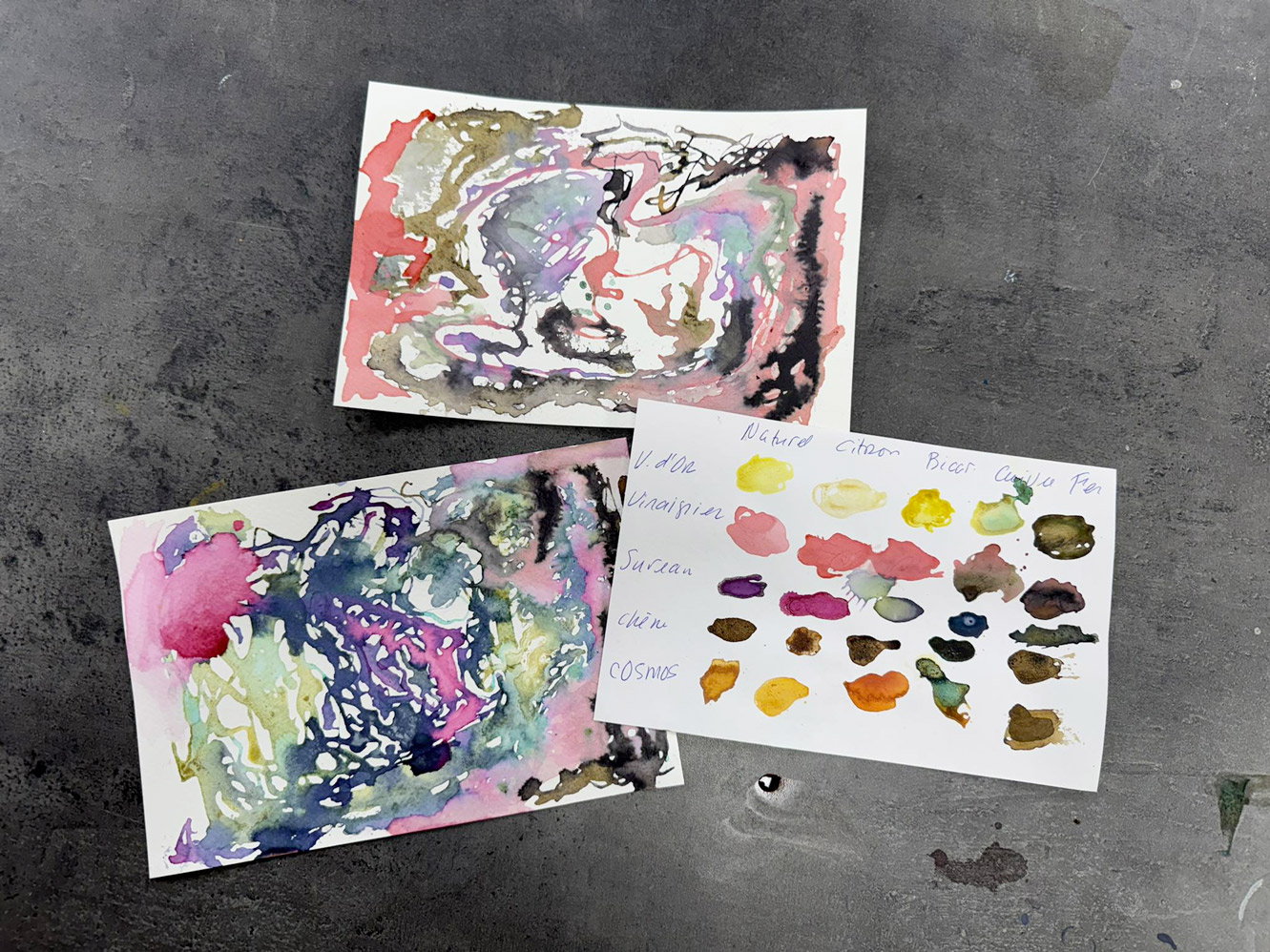 Nadia Loria Legris Mediation